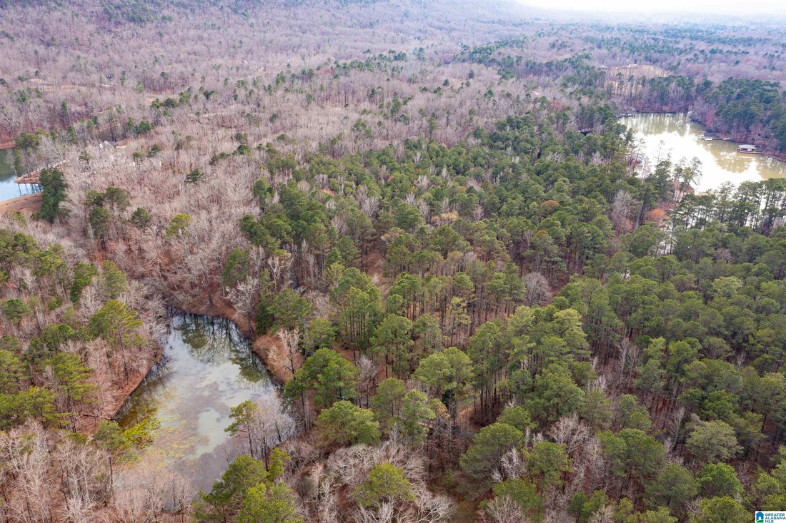 Land in Leeds, Alabama, United States 1 - 17323355