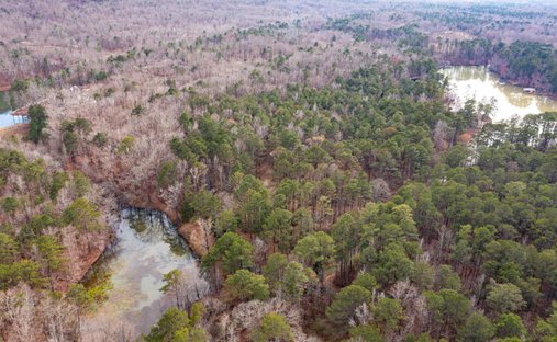 Land in Leeds, Alabama, United States 1