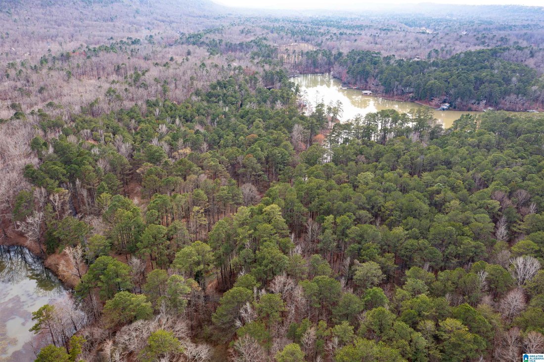 Land in Leeds, Alabama, United States 3 - 17323355