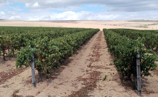 Farm Ranch in Johannesburg, Gauteng, South Africa 1