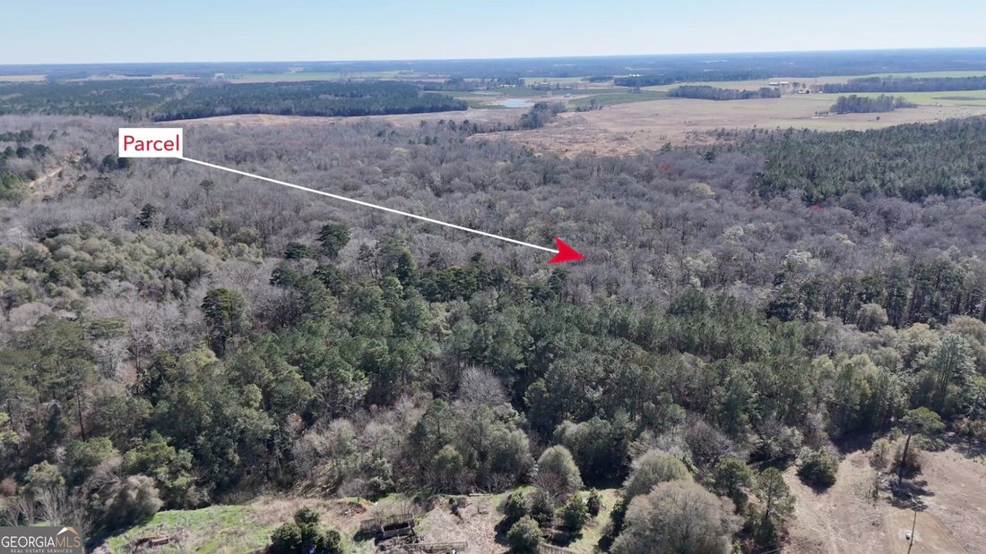 Land in Vienna, Georgia, United States 5 - 17310876