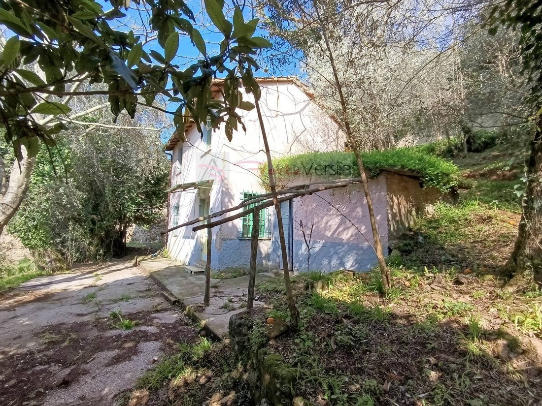 Country House in Strettoia-Capezzano-Valdicastello, Pietrasanta, Tuscany 3 - 14127273