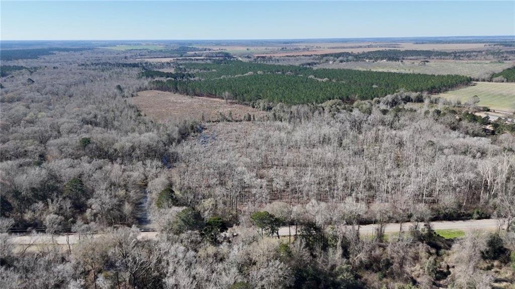 Land in Byromville, Georgia, United States 5 - 17313831