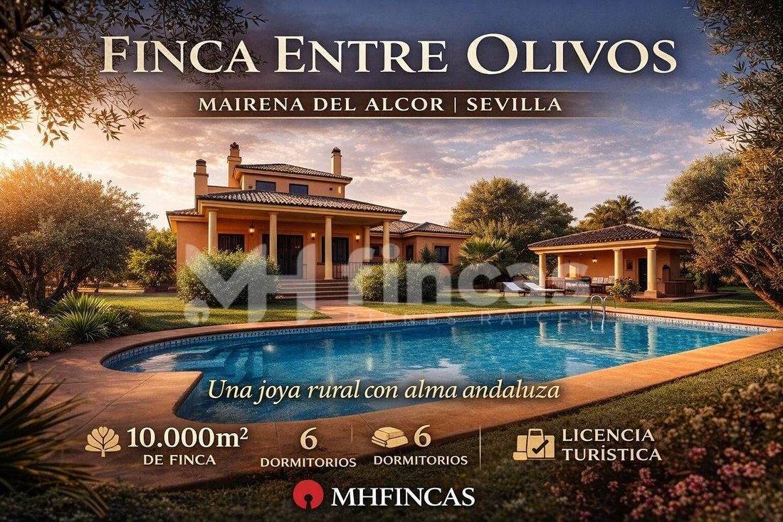 Villa in Mairena del Alcor, Andalusia, Spain 2 - 15952013