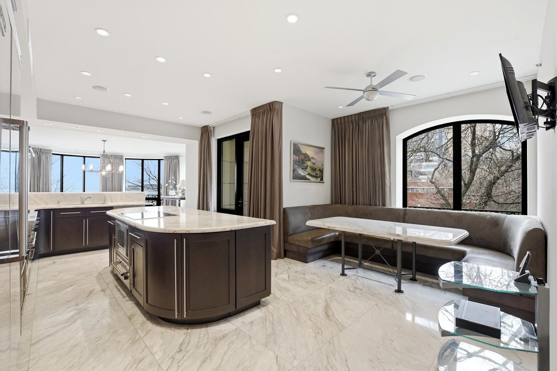 Condo in Chicago, Illinois, United States 5 - 17311003