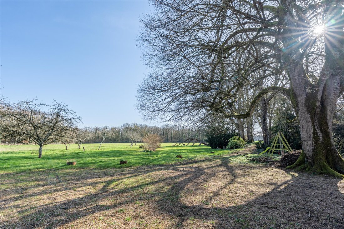 Domaine à Luynes, Centre-Val de Loire, France 3 - 17310734