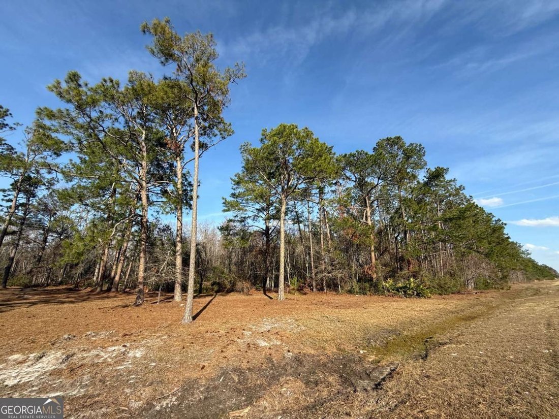 House in Baxley, Georgia, United States 5 - 17312929