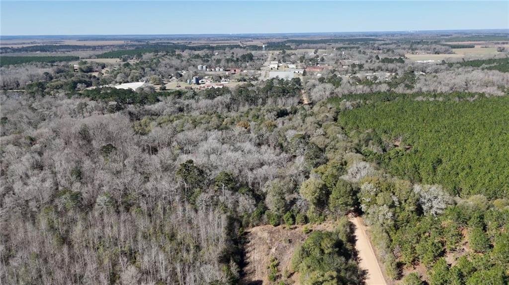 Land in Byromville, Georgia, United States 2 - 17313831
