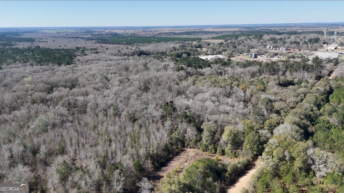 Land in Vienna, Georgia, United States 4 - 17310876