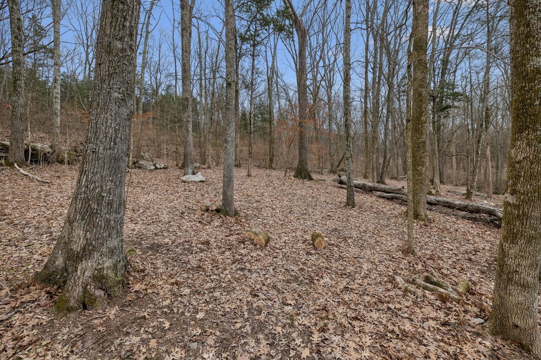 Land in Mt. Juliet, Tennessee, United States 4 - 17310739