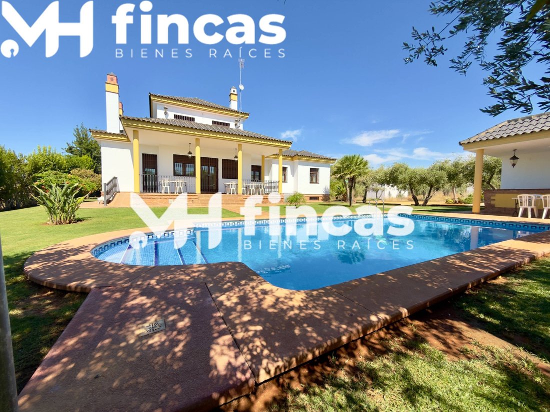 Villa in Mairena del Alcor, Andalusia, Spain 1 - 15952013