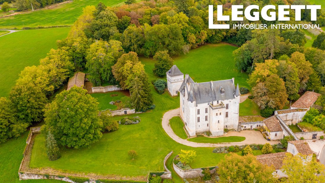 Castle in Vouzan, Nouvelle-Aquitaine, France 1 - 17320192