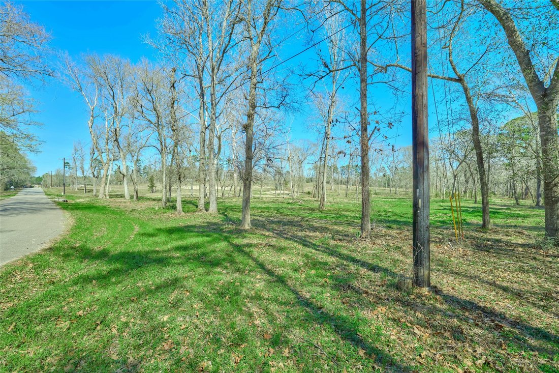 Land in Montgomery, Texas, United States 1 - 17315728