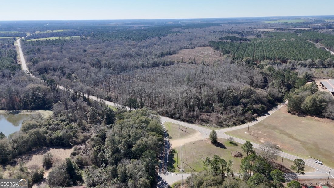 Land in Vienna, Georgia, United States 1 - 17310876