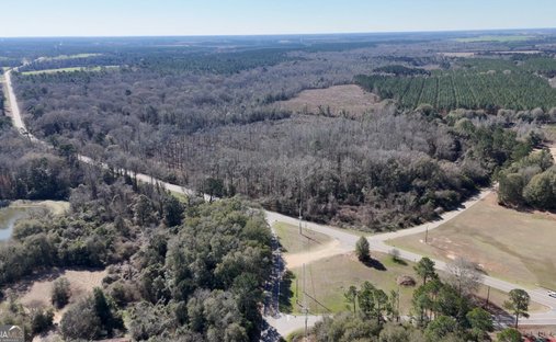 Land in Vienna, Georgia, United States 1