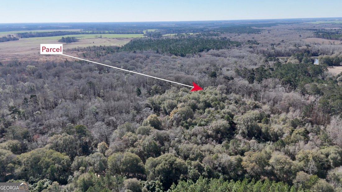 Land in Vienna, Georgia, United States 2 - 17310876