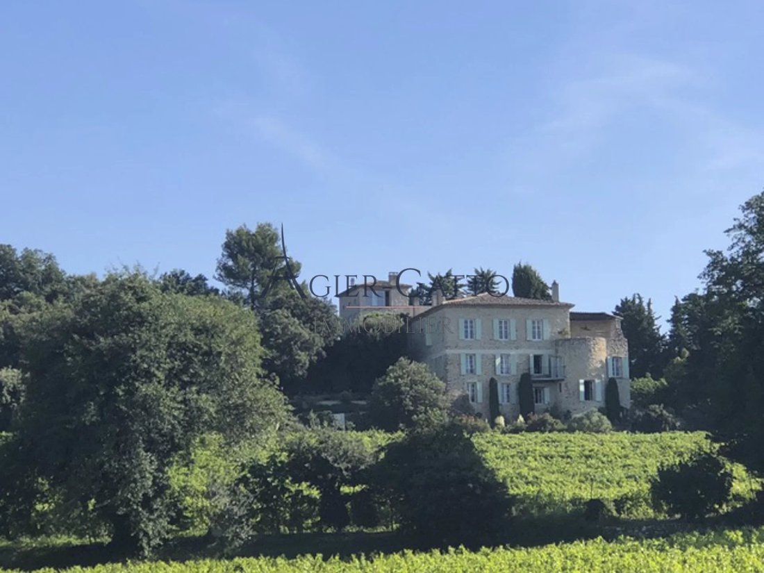 House in Grignan, Auvergne-Rhône-Alpes, France 3 - 17311338