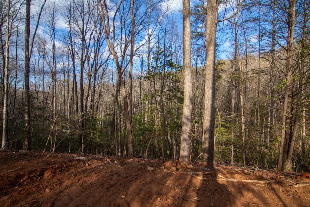 House in Cherry Log, Georgia, United States 4 - 17245068