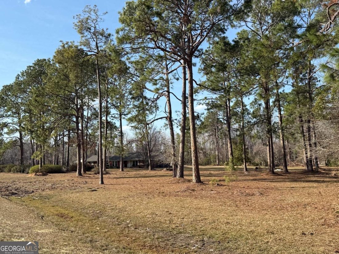 House in Baxley, Georgia, United States 4 - 17312929