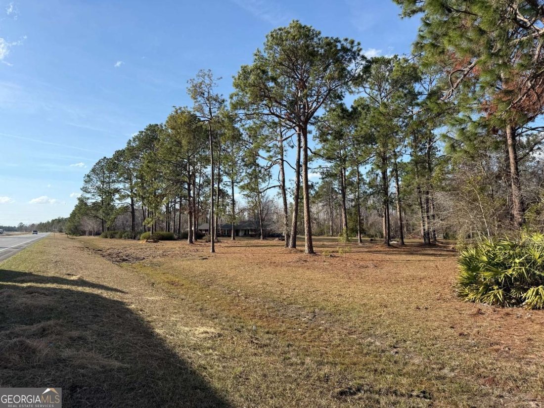 House in Baxley, Georgia, United States 3 - 17312929