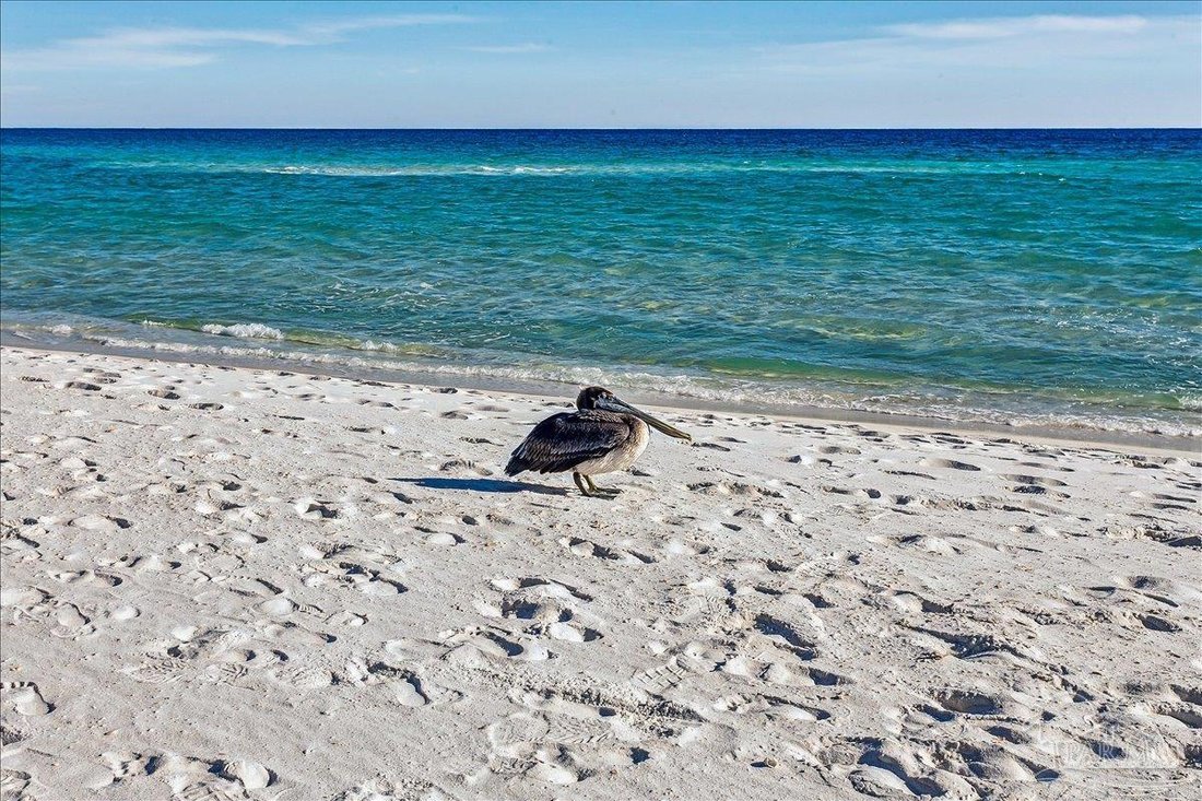 Condo in Navarre Beach, Florida, United States 5 - 17312284