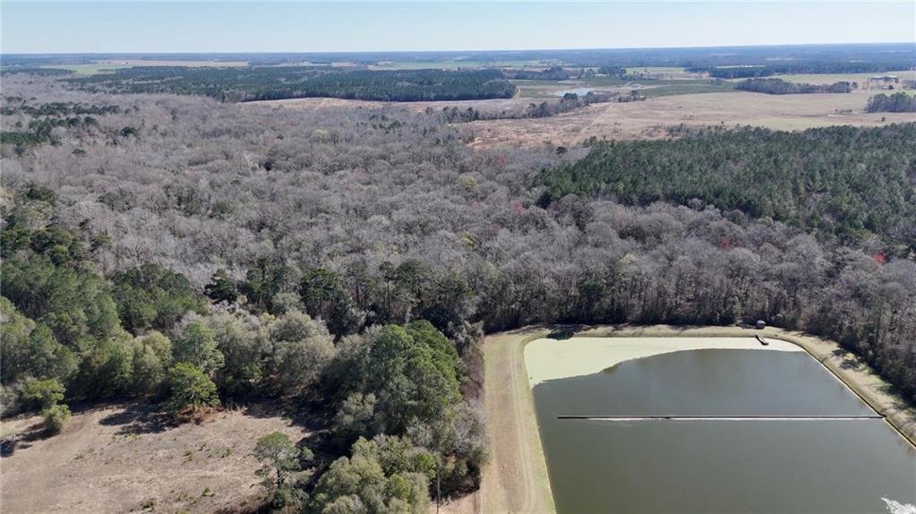 Land in Byromville, Georgia, United States 4 - 17313831