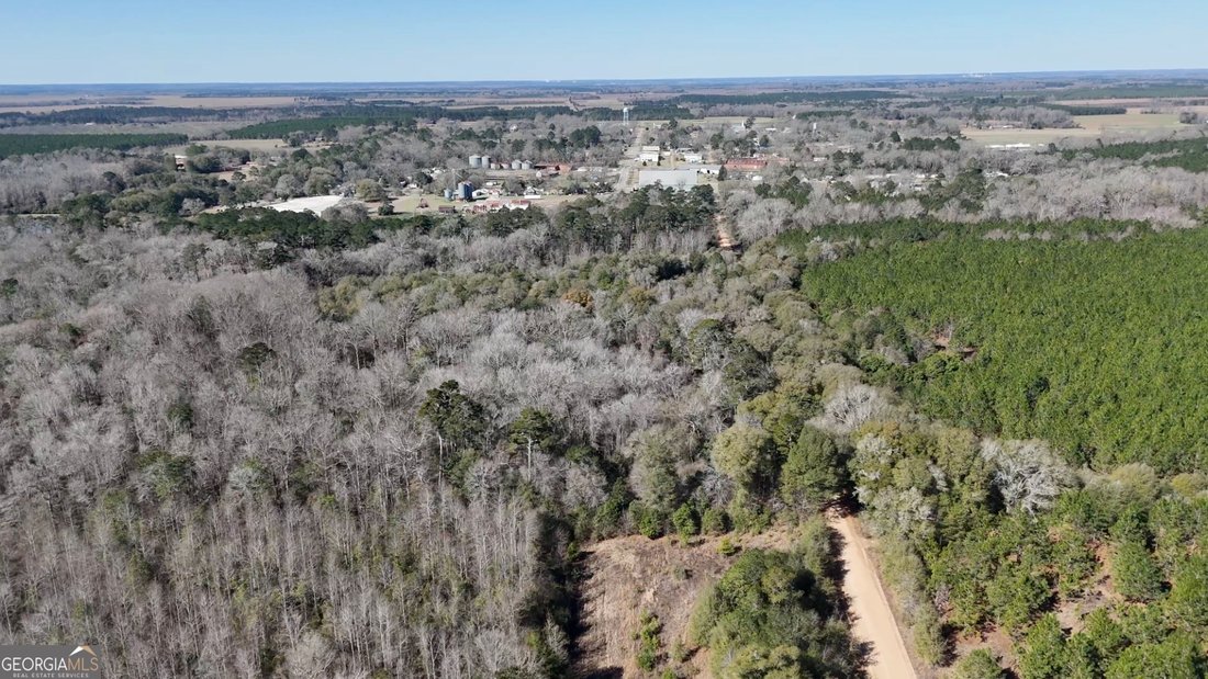 Land in Vienna, Georgia, United States 3 - 17310876