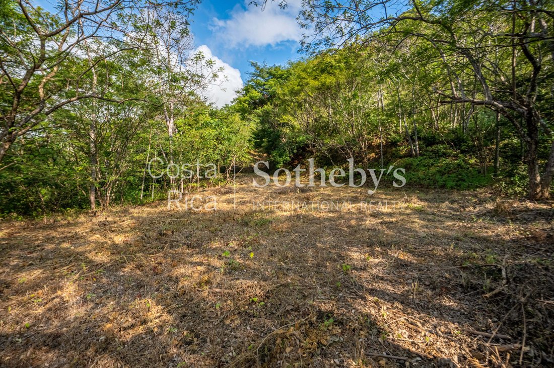 Land in Santa Cruz, Guanacaste Province, Costa Rica 4 - 17311091