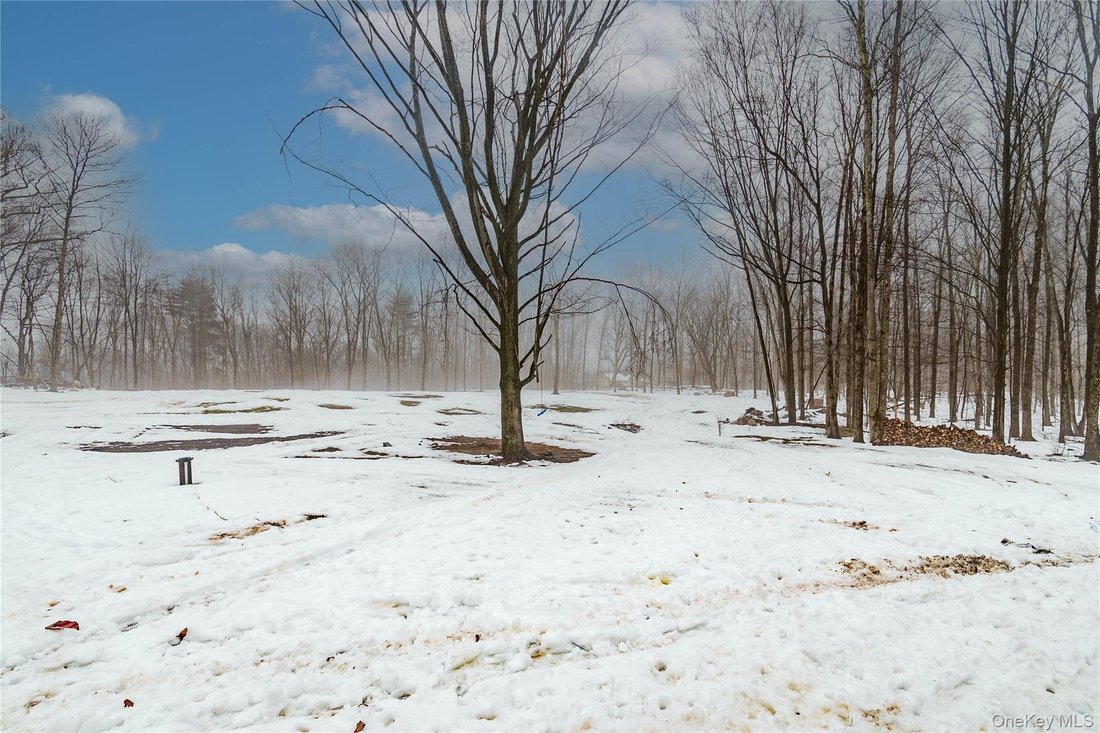 House in Bloomingburg, New York, United States 4 - 17315708