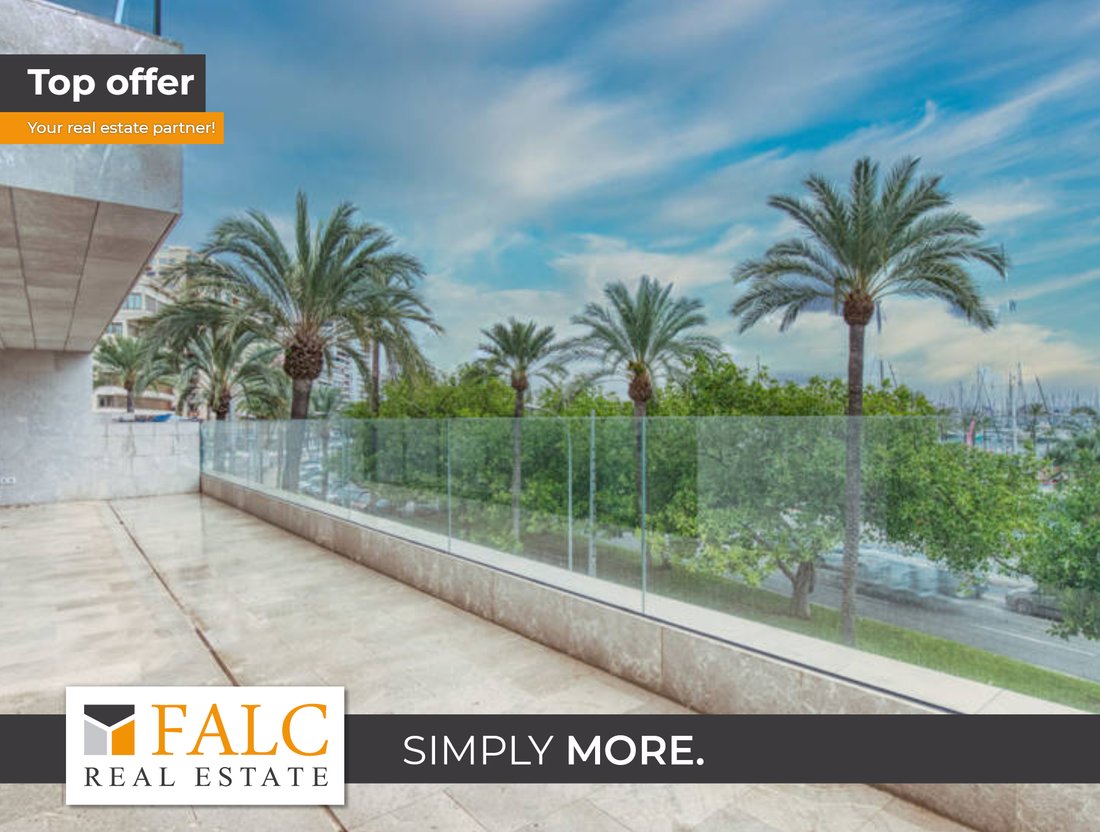 Apartment in Palma, Balearic Islands, Spain 1 - 17317913