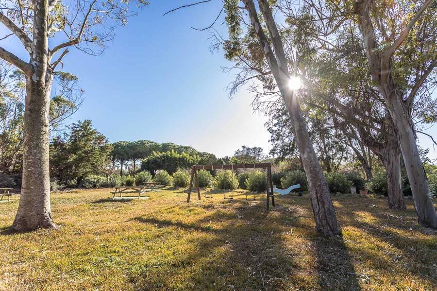 Finca in ses Salines, Balearic Islands, Spain 5 - 17321482