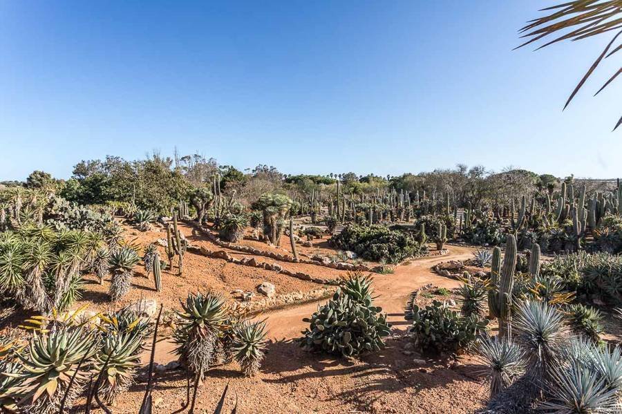 Finca in ses Salines, Balearic Islands, Spain 2 - 17321482