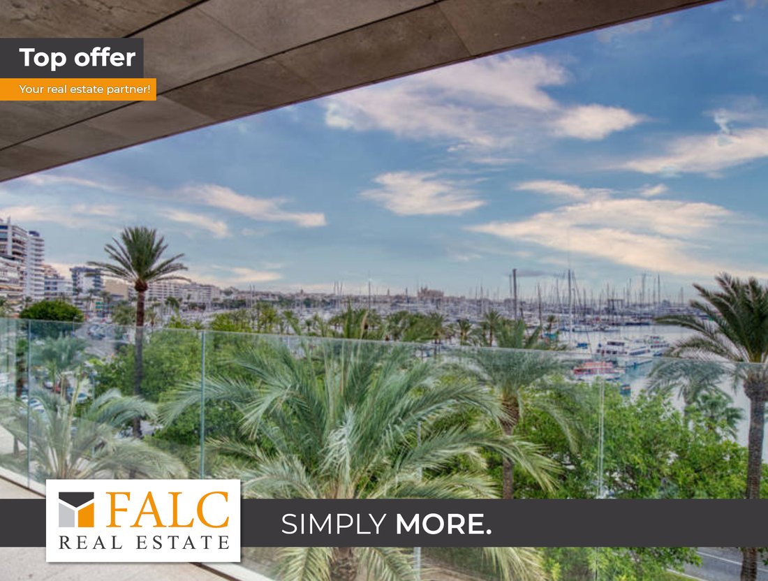 Apartment in Palma, Balearic Islands, Spain 1 - 17317915