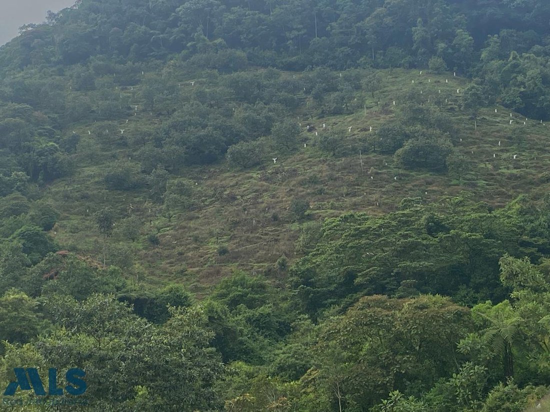 Land in Jardin, Jardín, Colombia 5 - 17317785