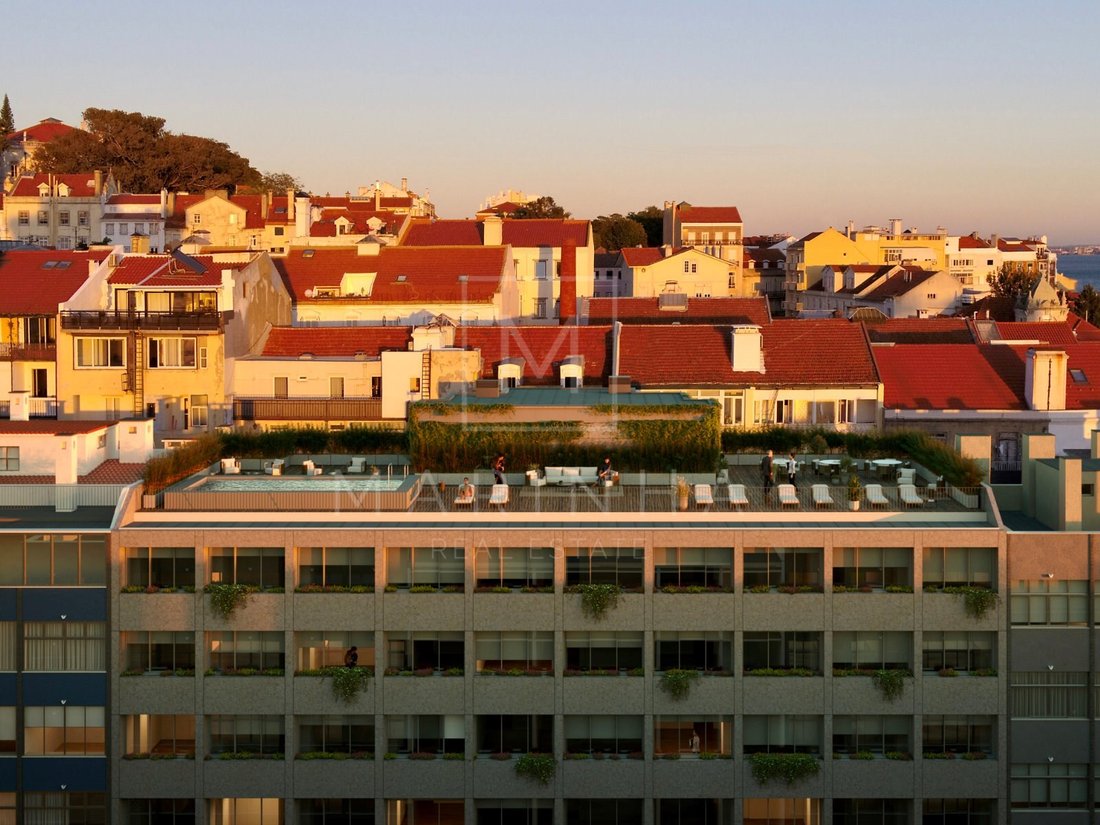 Estrela, Lisbon, Portugal 1 - 17316514