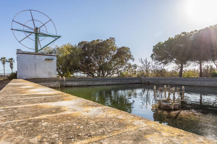 Finca in ses Salines, Balearic Islands, Spain 4 - 17321482