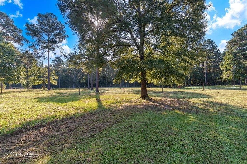 House in Benton, Louisiana, United States 3 - 17321178