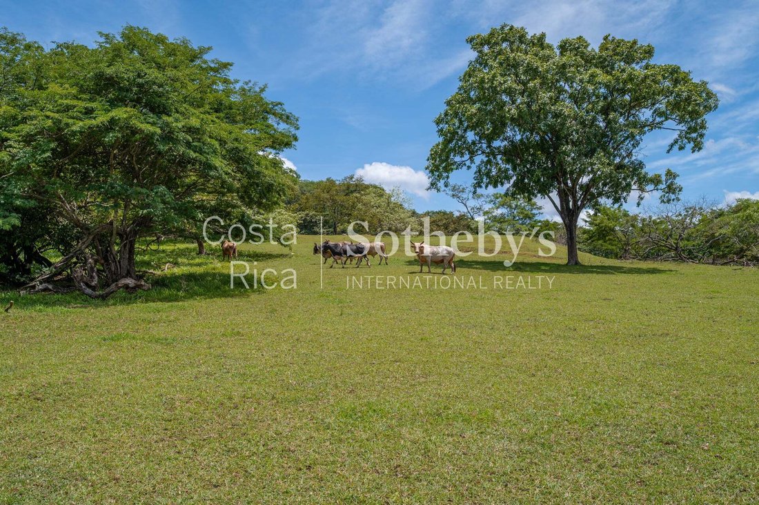 Land in Cabo Velas, Santa Cruz, Costa Rica 5 - 17311101