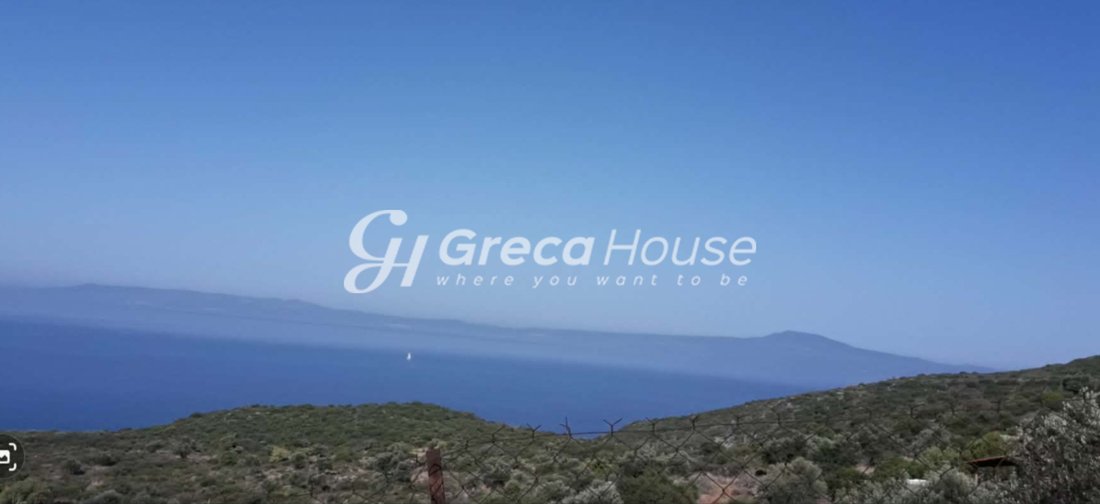 Land in Avia, Peloponnese, Western Greece and the Ionian, Greece 4 - 17312766