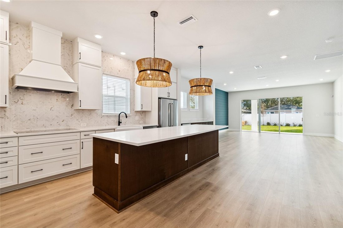 House in Tampa, Florida, United States 3 - 17178543