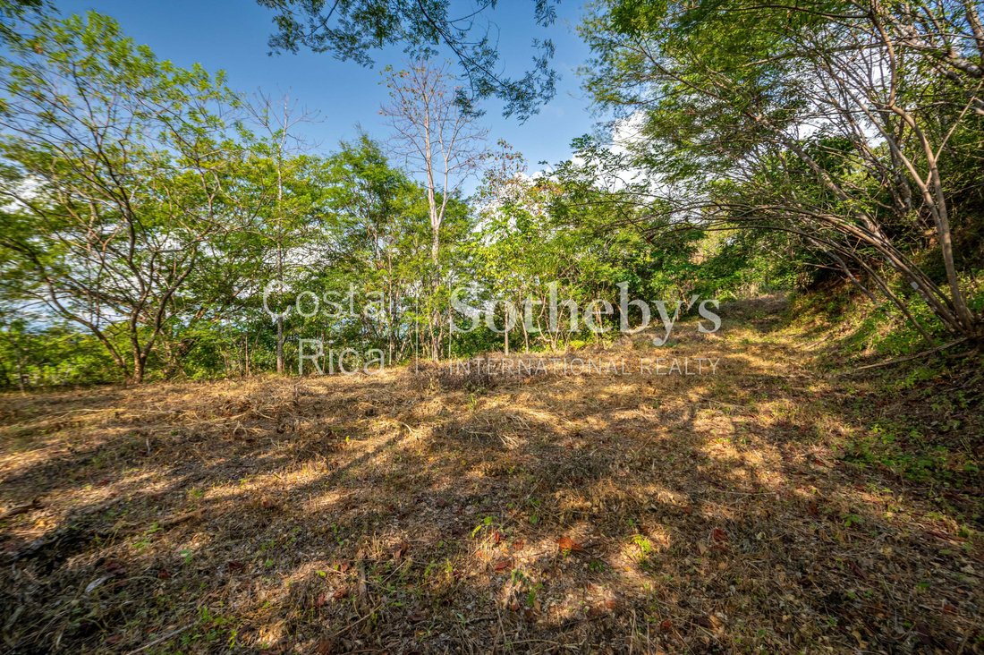 Land in Santa Cruz, Guanacaste Province, Costa Rica 5 - 17311091
