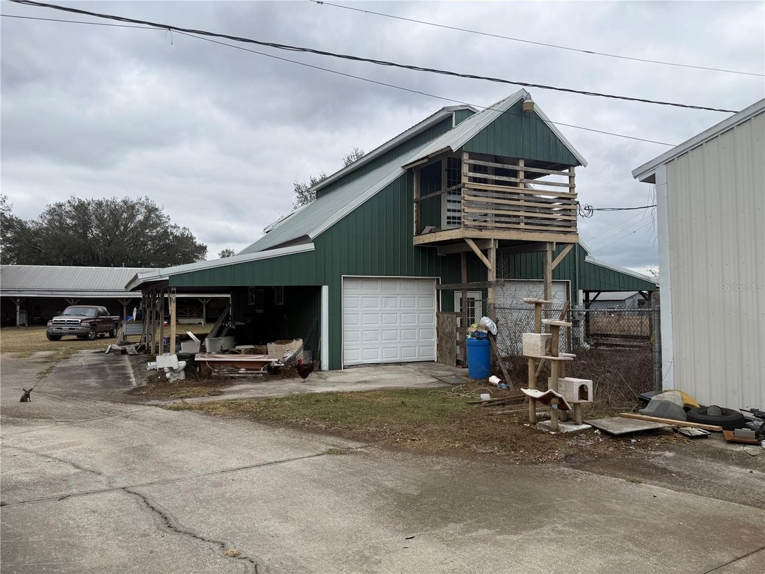 Plant City, Florida, United States 1 - 17318651
