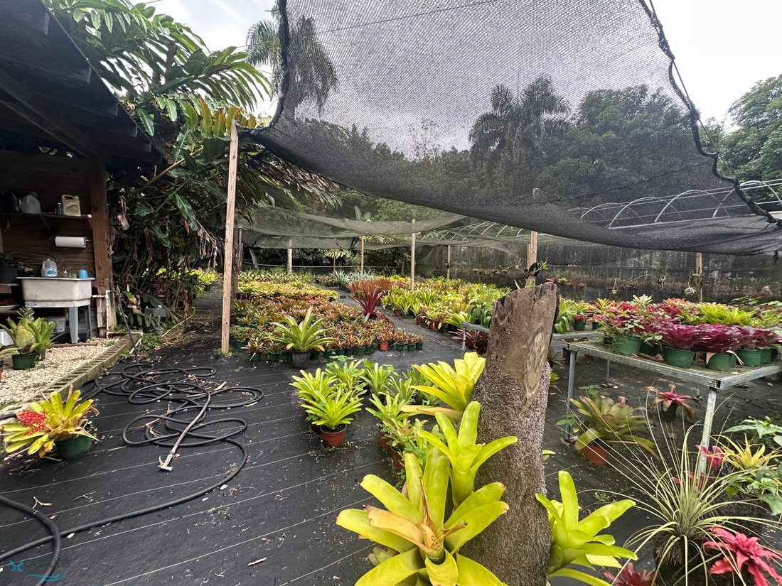 Land in Villalba, Villalba, Puerto Rico 5 - 17317814