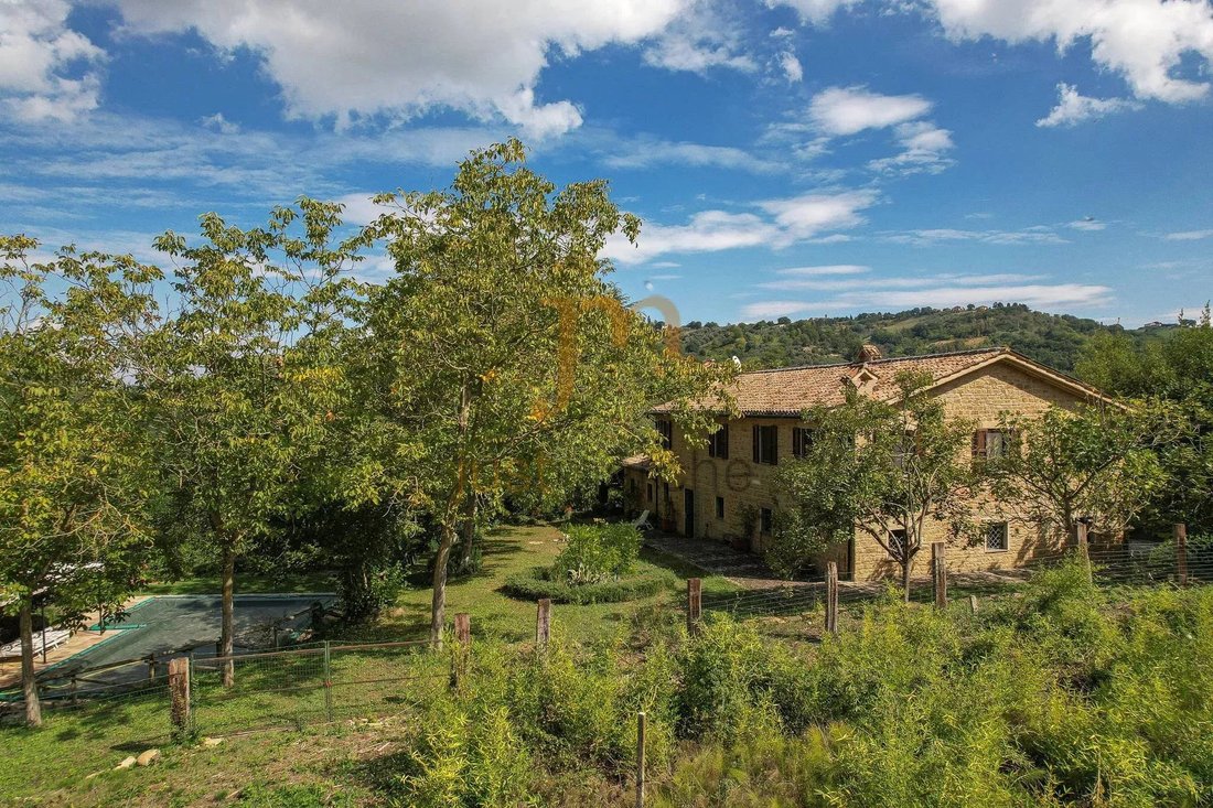 Serra San Quirico, Marche, Italy 2 - 17280403