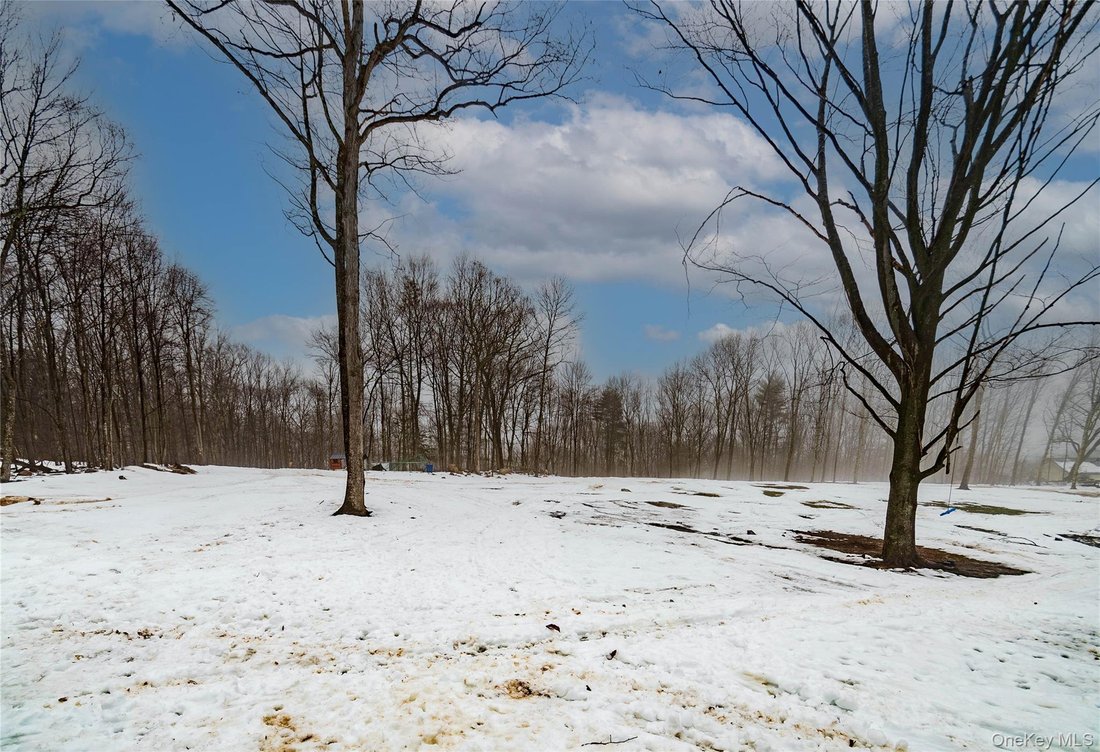 House in Bloomingburg, New York, United States 5 - 17315708
