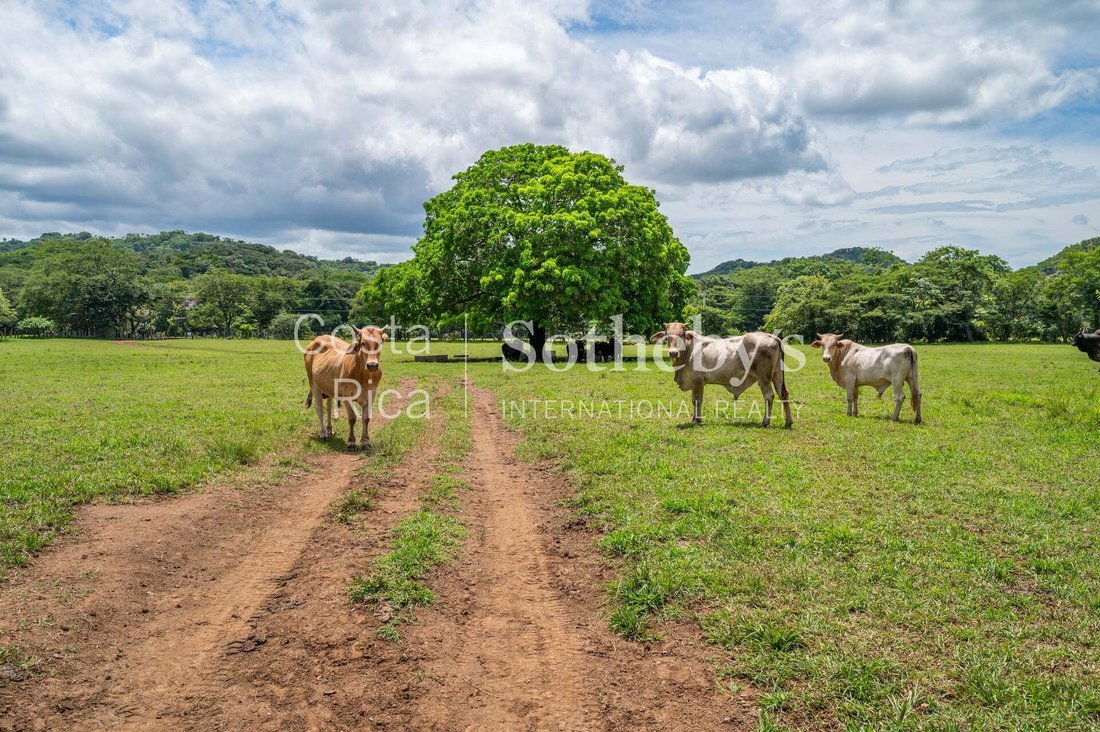 Land in Cabo Velas, Santa Cruz, Costa Rica 3 - 17311101