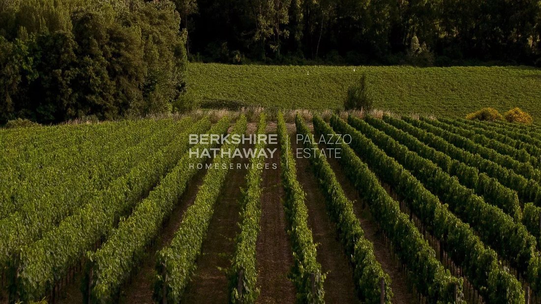Estate in Trequanda, Tuscany, Italy 5 - 17318501