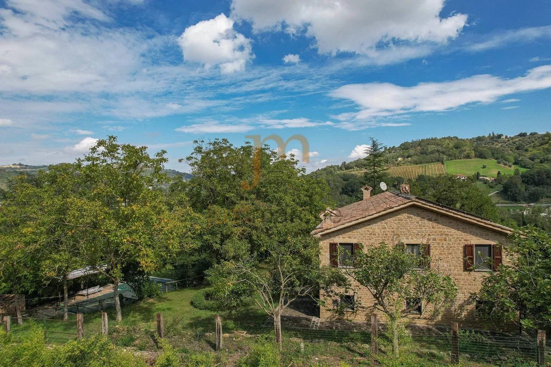 Serra San Quirico, Marche, Italy 3 - 17280403