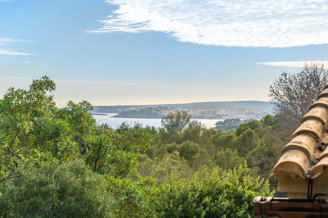 Villa in Calvia, Balearic Islands, Spain 2 - 17321481