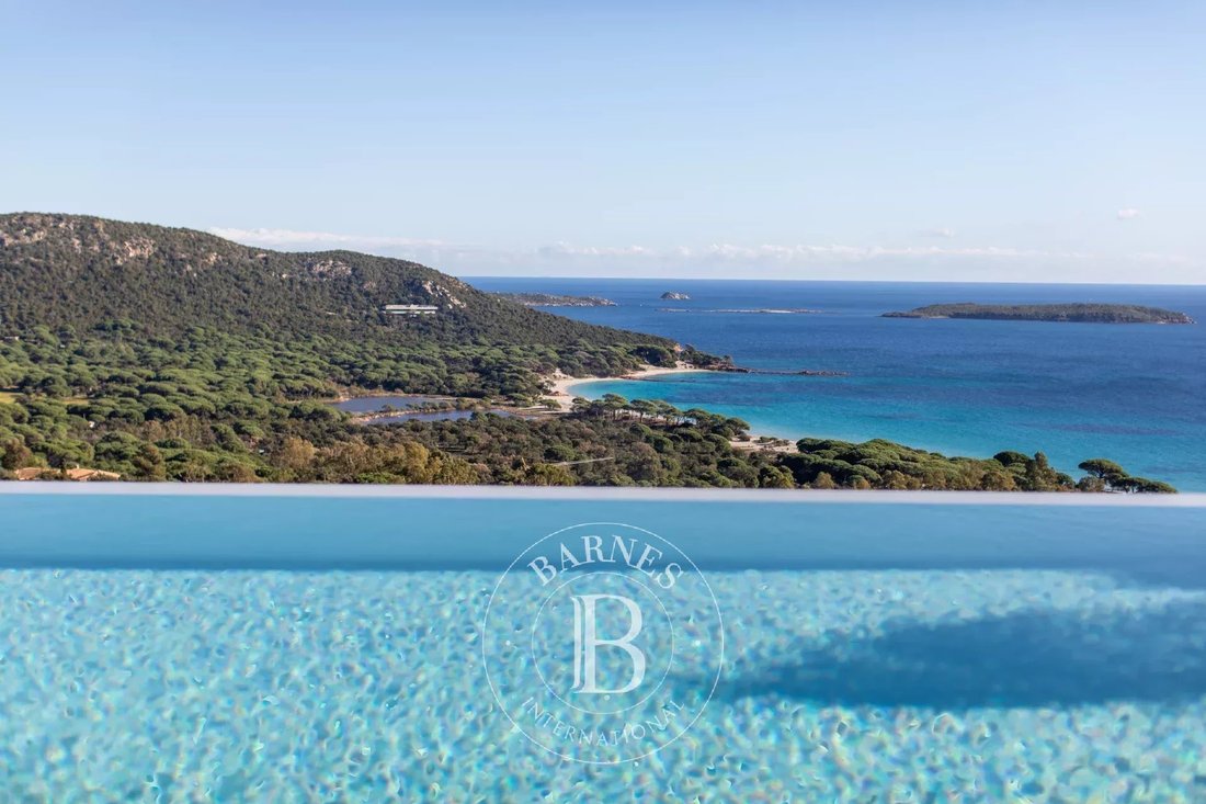 Villa in Porto-Vecchio, Corsica, France 1 - 13901534